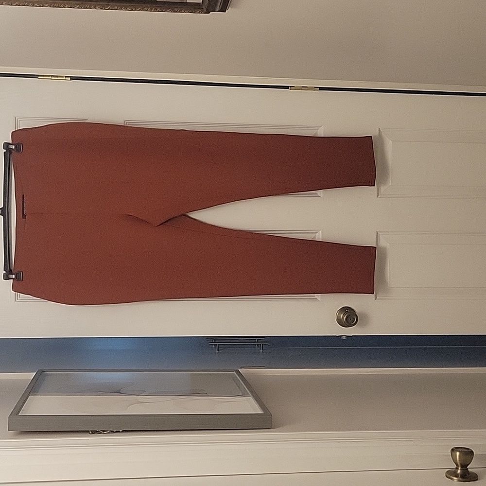 Knit leggings, rust colored leggings, Ashley Stewart leggings, Women size 18-20